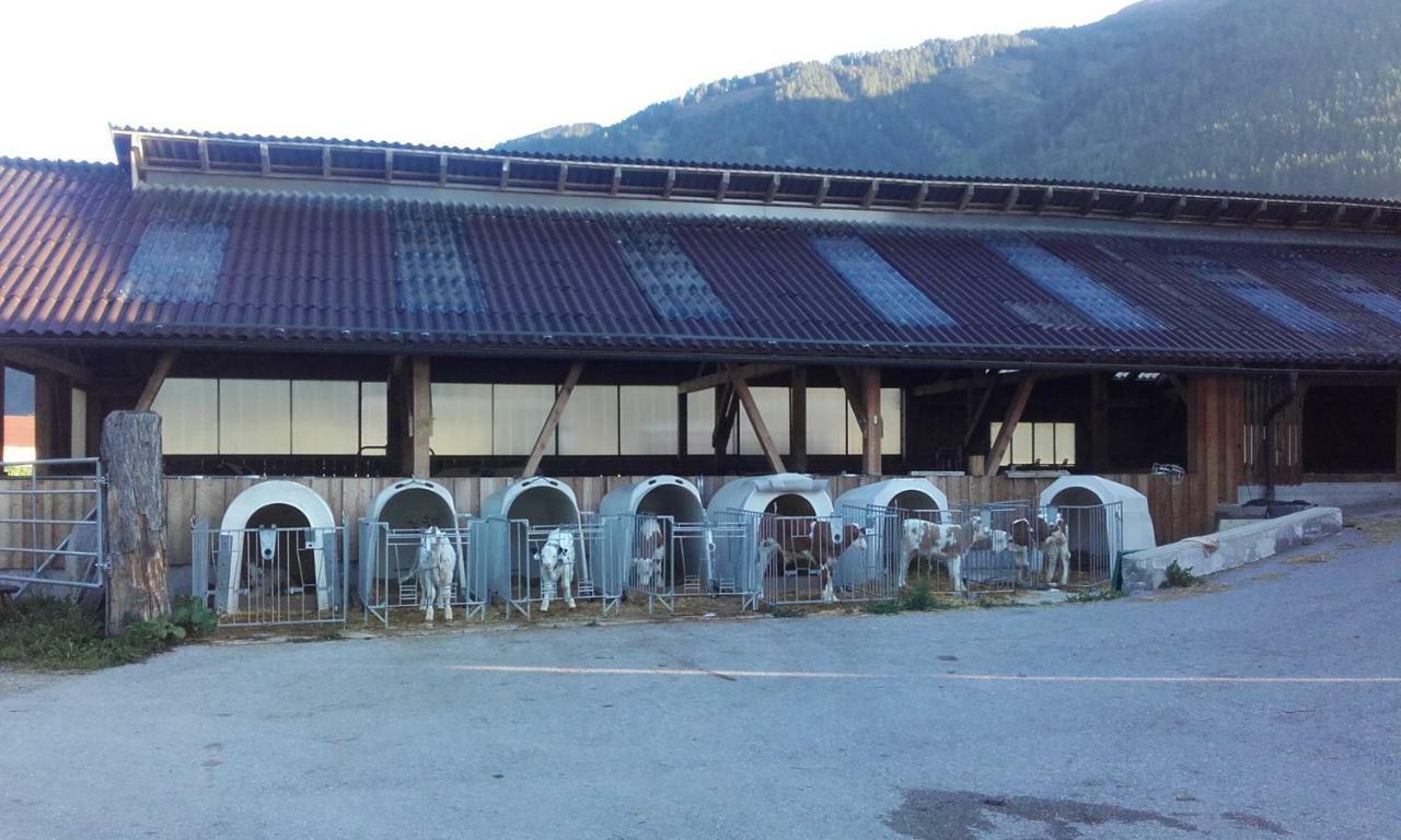 Ferienhaus Reinfrank Sankt Michael im Lungau Exterior foto