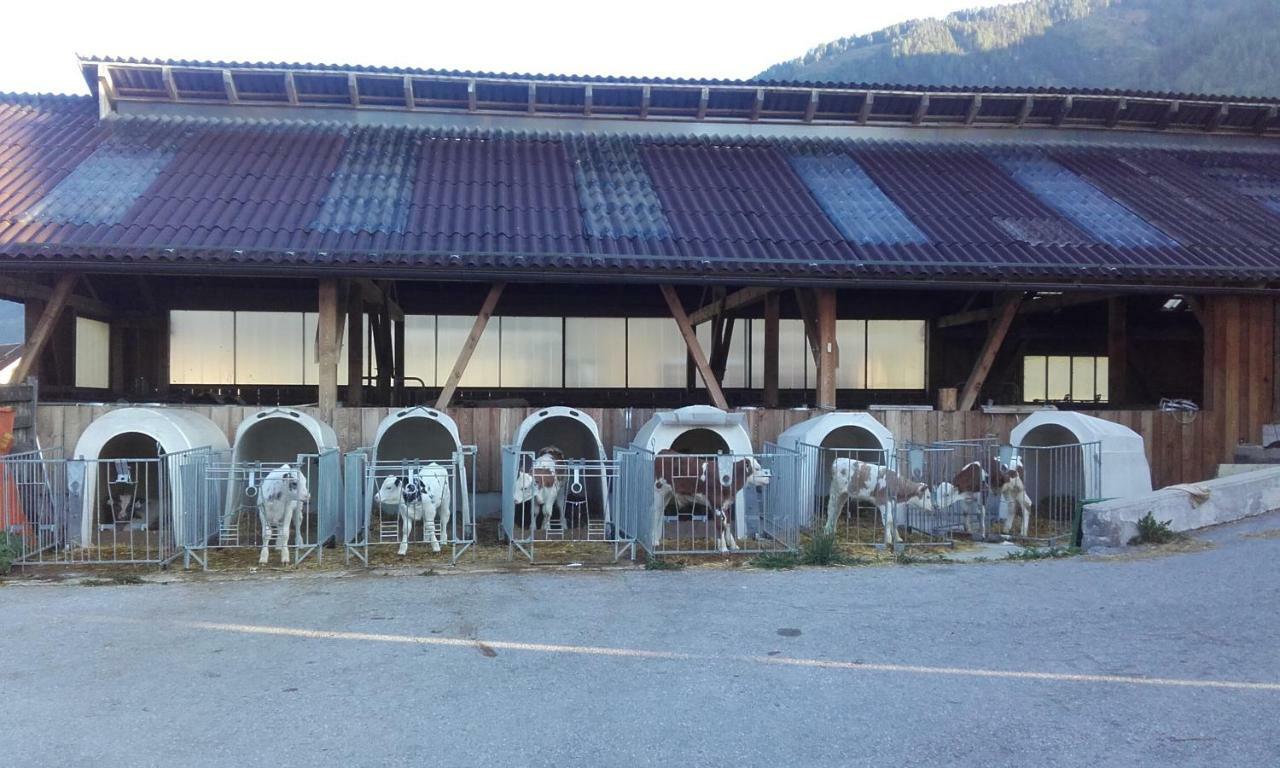 Ferienhaus Reinfrank Sankt Michael im Lungau Exterior foto